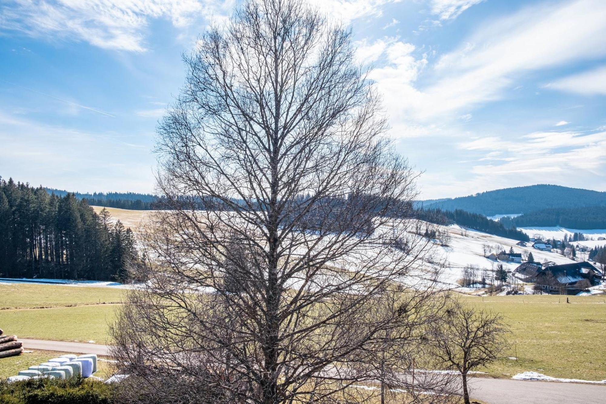 Lorenzenhaeusle Titisee-Neustadt Eksteriør bilde